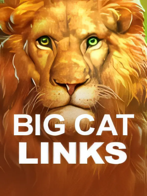 casinomidas-bigcat